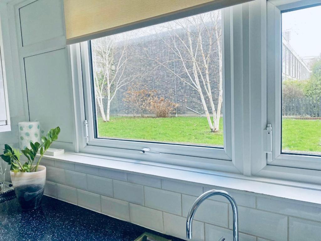 Albert Bridge Spacious Double Room لندن المظهر الخارجي الصورة